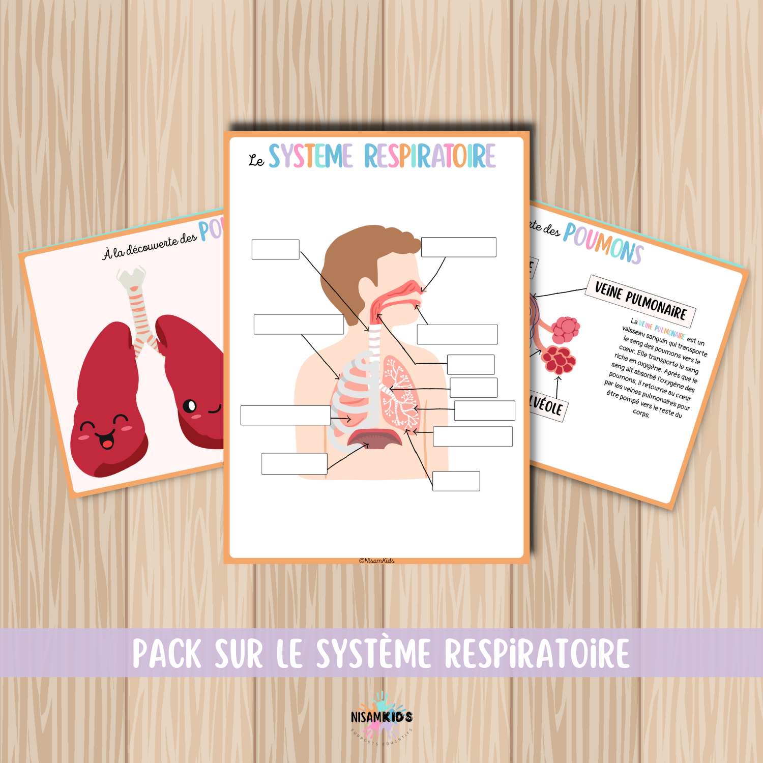 Pack sur le système respiratoire
