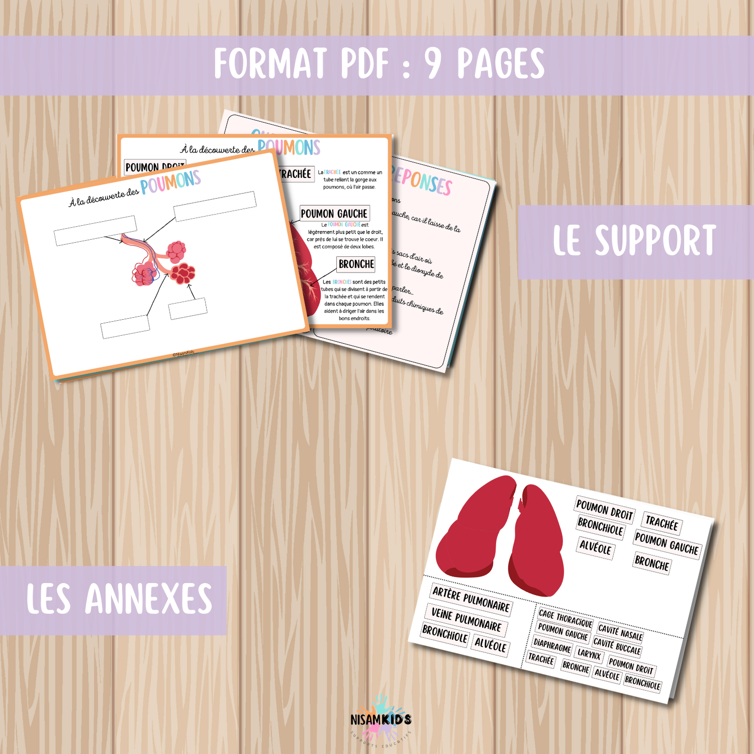 Pack sur le système respiratoire – Image 2